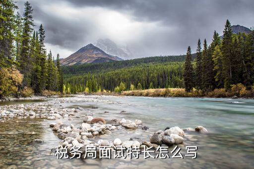 稅務(wù)局看重什么特長(zhǎng)，稅務(wù)局面試特長(zhǎng)怎么寫(xiě)