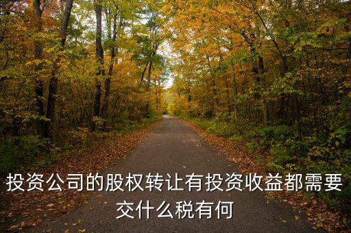 投資公司要交什么稅，投資集團公司如何繳稅