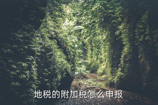 什么是附加稅申報(bào)，地稅的附加稅怎么申報(bào)