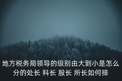 地方稅務局領(lǐng)導的級別由大到小是怎么分的處長 科長 股長 所長如何排