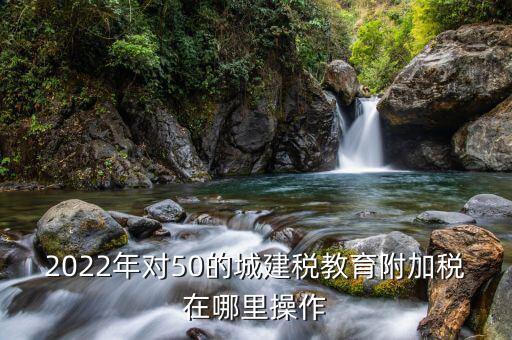 2022年對50的城建稅教育附加稅在哪里操作