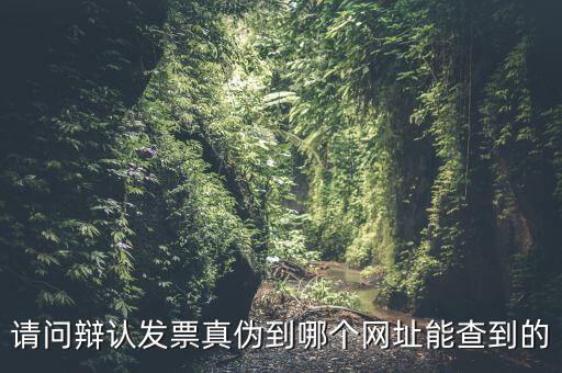 請(qǐng)問(wèn)辯認(rèn)發(fā)票真?zhèn)蔚侥膫€(gè)網(wǎng)址能查到的