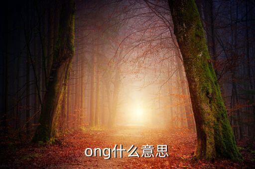 發(fā)票ong什么意思，ong什么意思