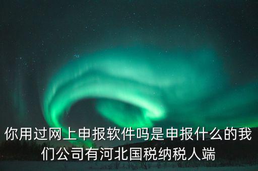 企業(yè)申報客戶端是什么，你用過網(wǎng)上申報軟件嗎是申報什么的我們公司有河北國稅納稅人端