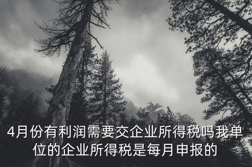 每年四月份要申報什么稅，我公司是一般納稅人四月份要申報兩個不同稅稅率的稅有一個可以