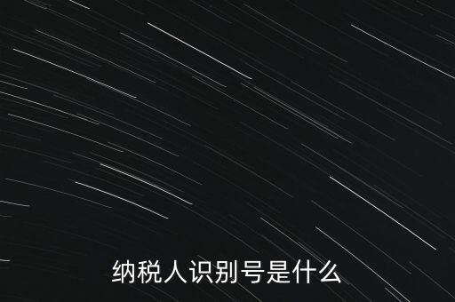 山西國稅納稅人識別號是什么，納稅人識別號是什么