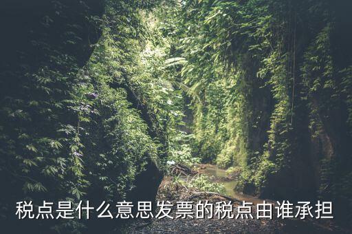 稅點由什么決定，稅點是什么意思