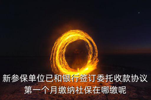 什么時候辦理授權(quán)劃繳協(xié)議，如何取得委托銀行劃轉(zhuǎn)地方稅費(fèi)授權(quán)書協(xié)議書去銀行還是去地稅