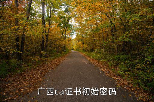 國說ca證書密碼是什么，ca證書密碼是什么