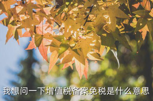 我想問(wèn)一下增值稅備案免稅是什么意思