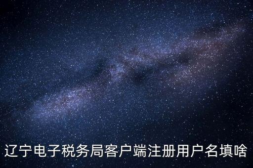 遼寧省網(wǎng)上稅務局登錄需要什么，遼寧電子稅務局客戶端注冊用戶名填啥