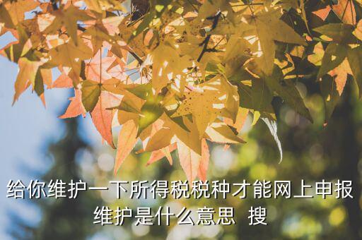 給你維護(hù)一下所得稅稅種才能網(wǎng)上申報(bào)維護(hù)是什么意思  搜