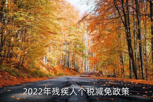 2022年殘疾人個(gè)稅減免政策