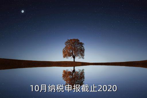 10月申報(bào)期到什么時(shí)候，2021年十月份報(bào)稅期延遲到幾號(hào)