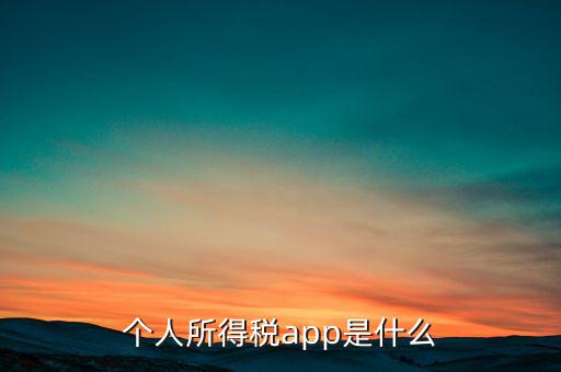 網(wǎng)上交稅要下載什么東西，個(gè)人所得稅官網(wǎng)登錄企業(yè)個(gè)人所得稅要下載什么端口申報(bào)