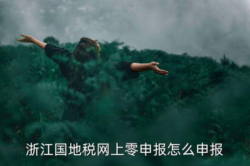 浙江國地稅網(wǎng)上零申報怎么申報