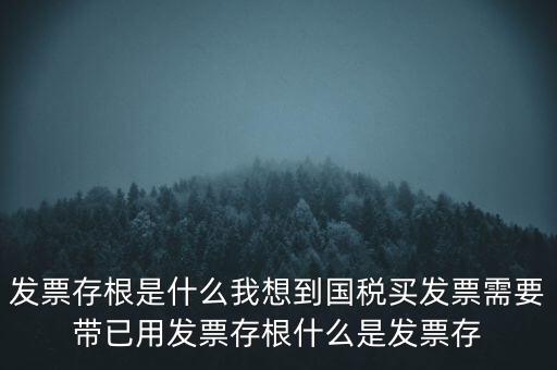 發(fā)票電子存根是什么，發(fā)票存根是什么