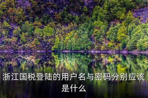 浙江國(guó)稅登陸的用戶名與密碼分別應(yīng)該是什么