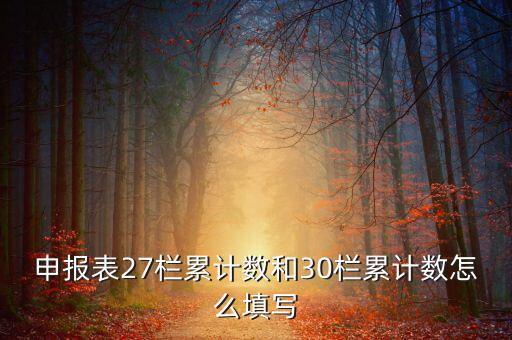 什么是期初未繳稅額，申報表27欄累計數(shù)和30欄累計數(shù)怎么填寫