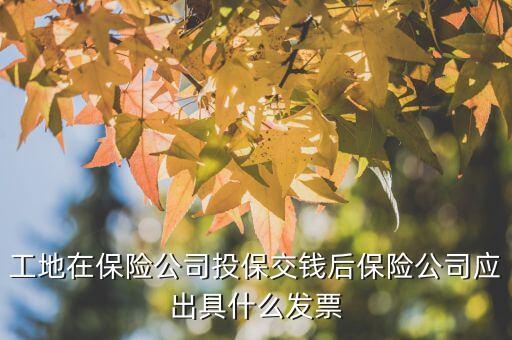 工地在保險(xiǎn)公司投保交錢(qián)后保險(xiǎn)公司應(yīng)出具什么發(fā)票