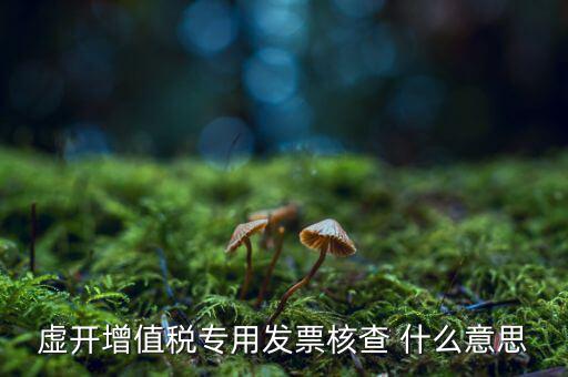 虛開(kāi)增值稅專用發(fā)票核查 什么意思