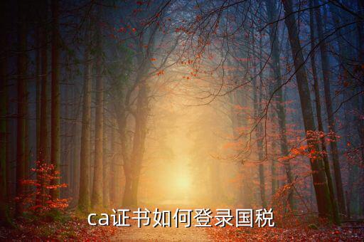 國稅登錄如何用ca登錄密碼是什么意思，國稅第一次網(wǎng)上申報(bào)的登陸密碼是什么