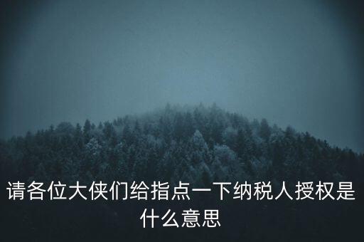 納稅人獲得感是什么意思，請各位大俠們給指點一下納稅人授權(quán)是什么意思