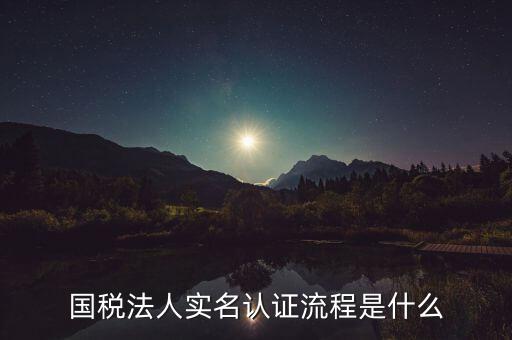 國稅法人實名認證流程是什么