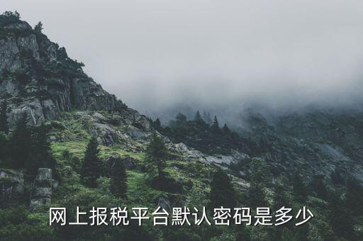 網(wǎng)上報稅平臺默認密碼是多少