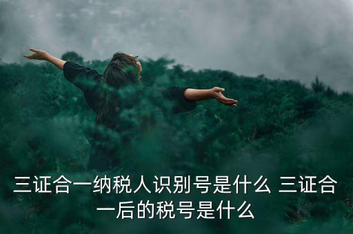 三證合一后稅號(hào)是什么，三證合一納稅人識(shí)別號(hào)是什么 三證合一后的稅號(hào)是什么