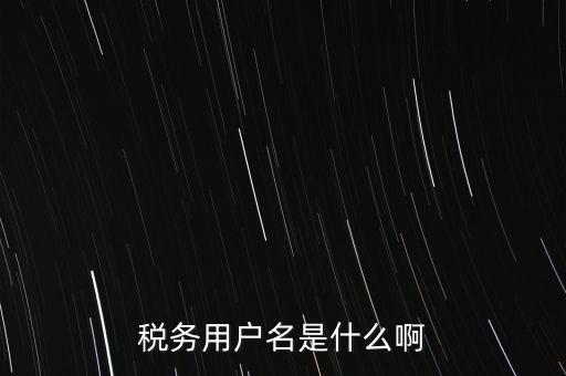 稅務用戶名是什么啊