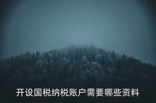 開國稅都需要帶什么資料，開設(shè)國稅納稅賬戶需要哪些資料