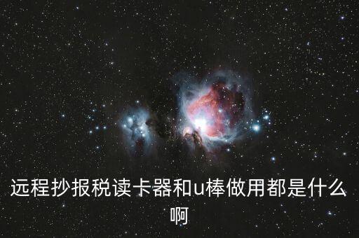 遠程抄報稅讀卡器和u棒做用都是什么啊