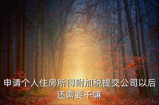 申請個(gè)人住房所得附加稅提交公司以后還需要干嘛