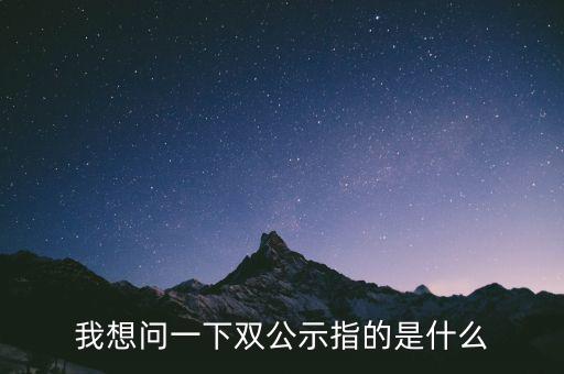 我想問(wèn)一下雙公示指的是什么