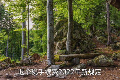 退個(gè)稅手續(xù)費(fèi)2022年新規(guī)定