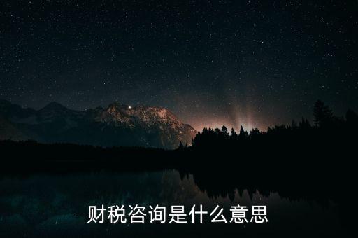 財(cái)稅咨詢是什么意思