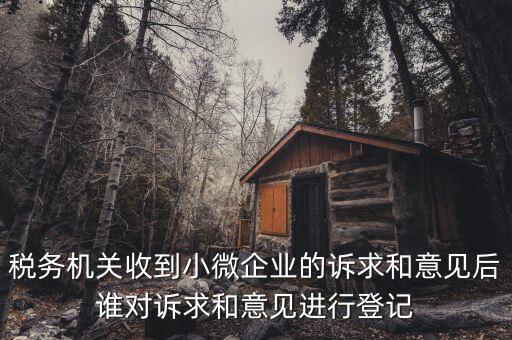 稅務機關收到小微企業(yè)的訴求和意見后誰對訴求和意見進行登記