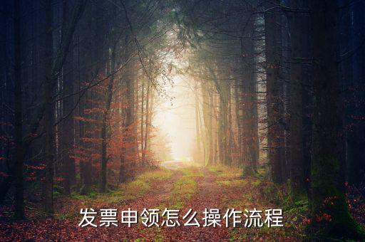 我想申請(qǐng)票種的流程是什么樣的，小規(guī)模申請(qǐng)專(zhuān)票的流程是什么