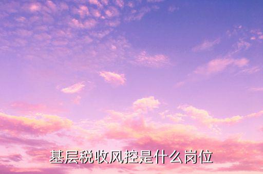 基層稅收風(fēng)控是什么崗位