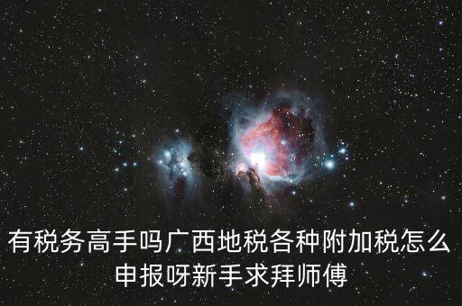 廣西地稅每個(gè)月要申報(bào)什么內(nèi)容，有稅務(wù)高手嗎廣西地稅各種附加稅怎么申報(bào)呀新手求拜師傅