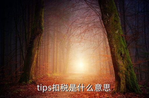 國(guó)稅tips系統(tǒng)指什么意思，電子對(duì)賬單上摘要一欄寫有tips是什么意思