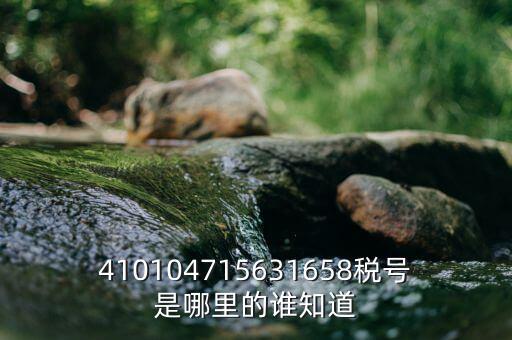 河南省的稅號(hào)是什么意思，410104715631658稅號(hào)是哪里的誰(shuí)知道