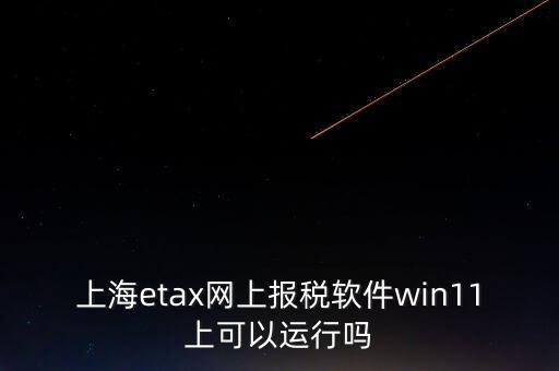 上海網(wǎng)上報(bào)稅什么軟件，上海etax網(wǎng)上報(bào)稅軟件win11上可以運(yùn)行嗎