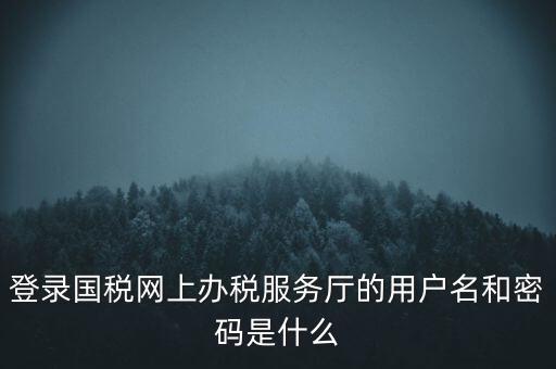 登錄國(guó)稅網(wǎng)上辦稅服務(wù)廳的用戶名和密碼是什么