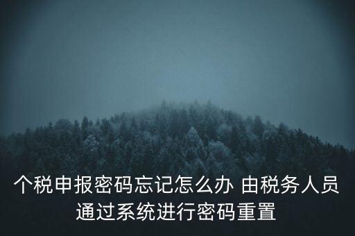 個稅申報密碼忘記怎么辦 由稅務人員通過系統進行密碼重置