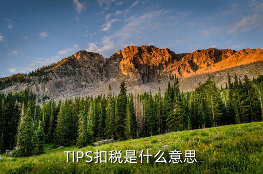 什么叫tips扣款，tips扣款和大廳扣款區(qū)別