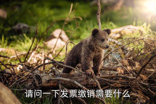 發(fā)票繳銷要需要帶什么，去國(guó)稅注銷發(fā)票需要帶什么呢