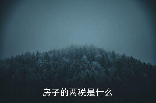 兩稅清查是指什么，房子的兩稅是什么