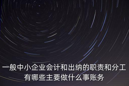 一般中小企業(yè)會計和出納的職責(zé)和分工有哪些主要做什么事賬務(wù)